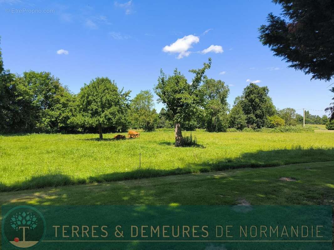 A 5 minutes de beuzeville (27210), magnifique propriete normande avec dependances, piscine interieur et parc de 1.6 hectares. - photo 22