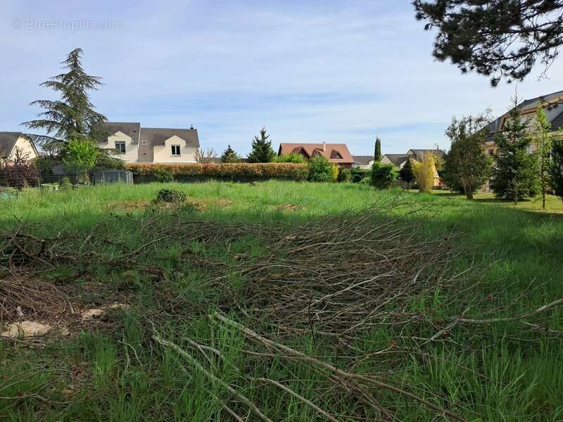 Terrain à vendre de 975,00 m² POURNOY LA GRASSE (57) - photo 2