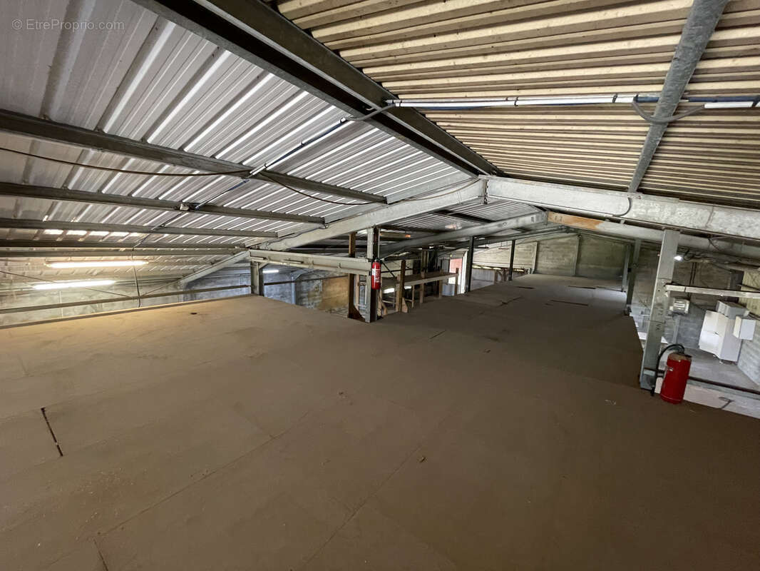 Commerce à SAINT-FRANCOIS