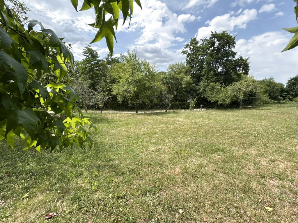 Terrain à BARBECHAT