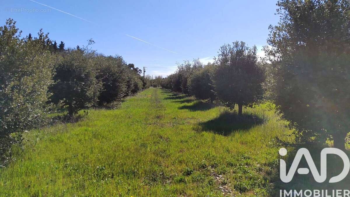 Terrain 4400 m² à Travaillan  - photo 8