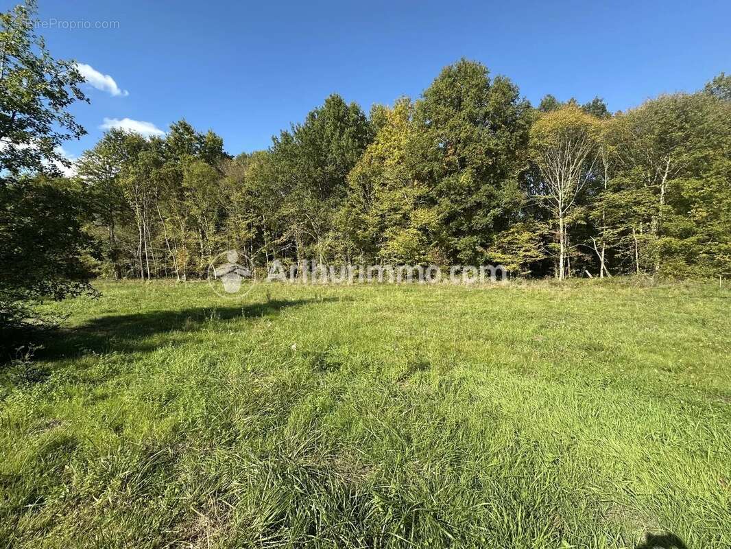 Terrain à SAINT-ASTIER