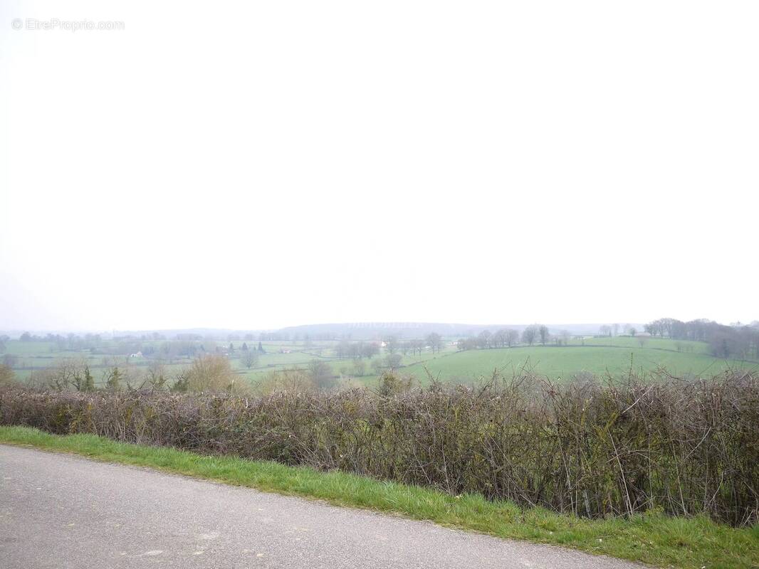 Terrain à BOURBON-L'ARCHAMBAULT