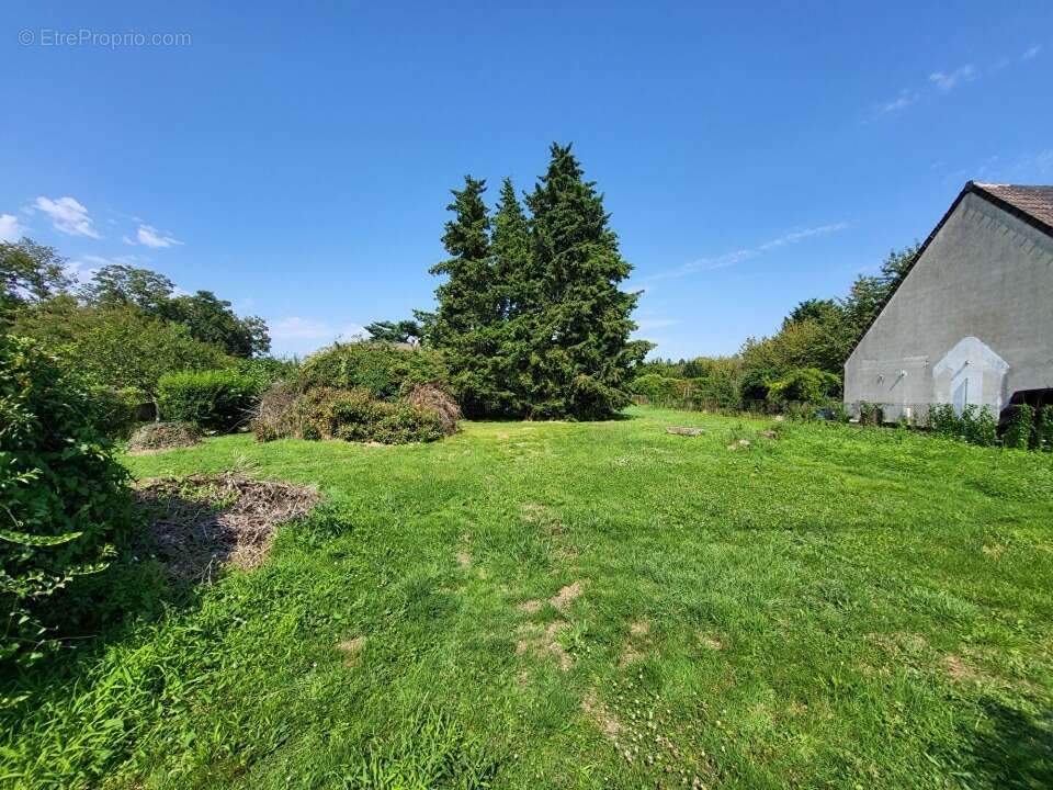 Terrain à LE PLESSIS-PLACY