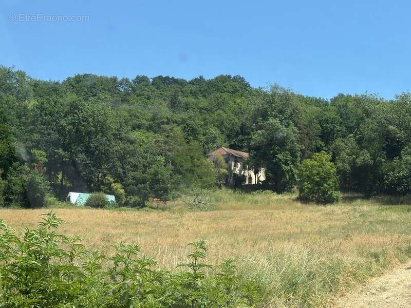 Maison à MARCIAC