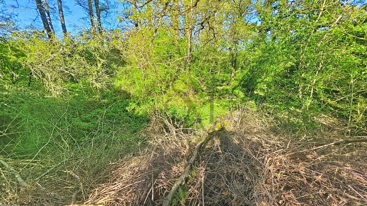 Autre à PERS-EN-GATINAIS