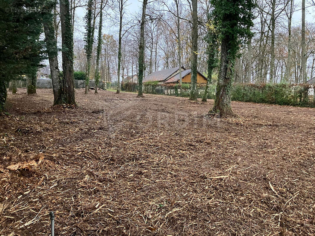 Terrain à CHARNY