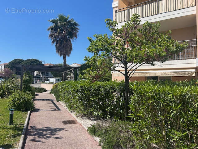 Appartement à BORMES-LES-MIMOSAS