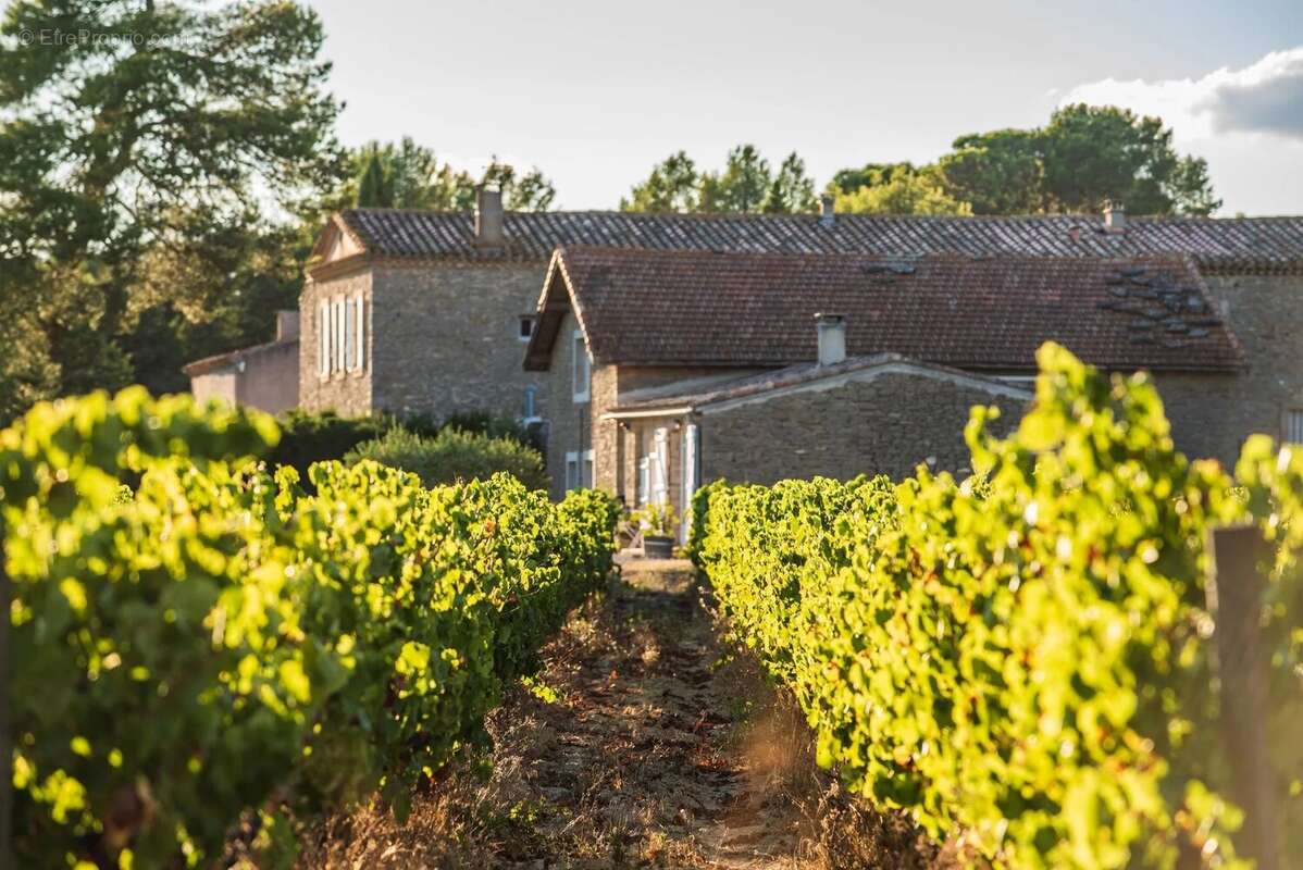 Domaine avec maison,  gîtes, auberge, parc - photo 14