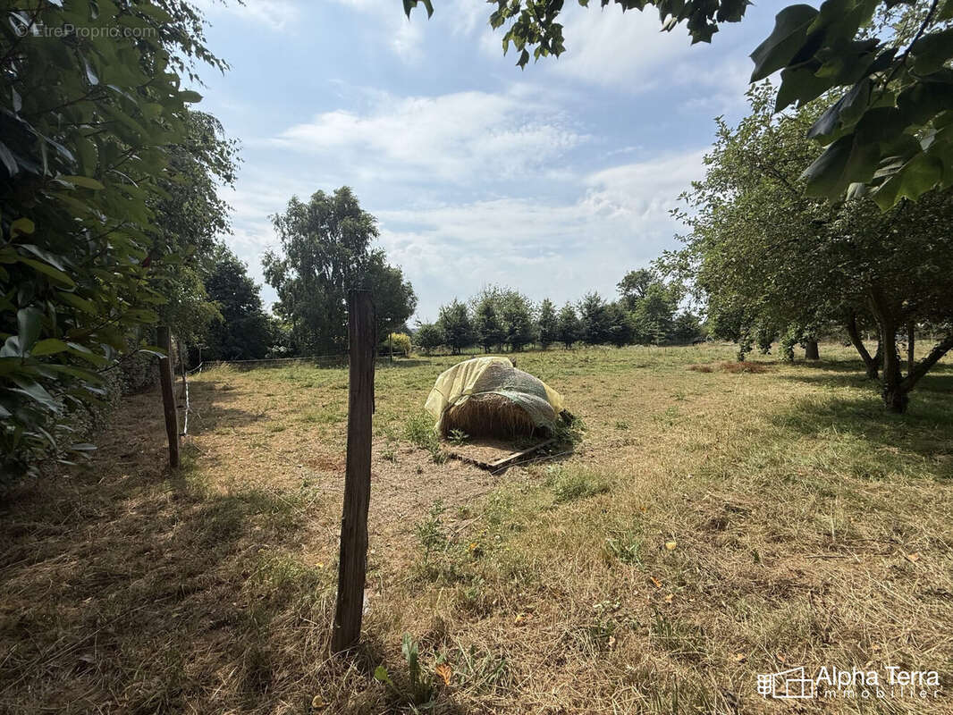 Terrain 5275 m² à Tilly-Sur-Seulles  - photo 3