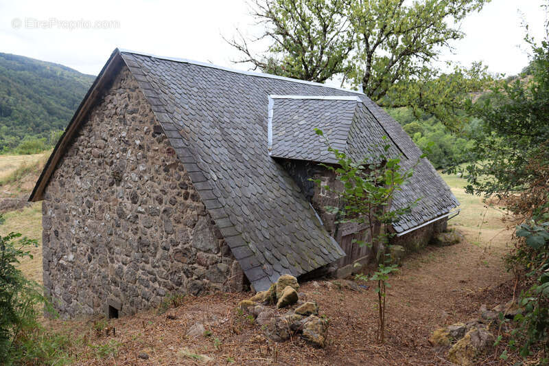 Maison à SAINT-PROJET-DE-SALERS
