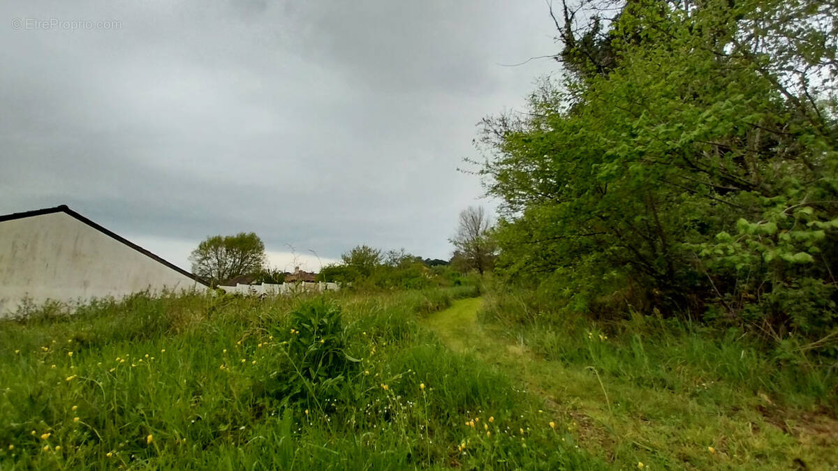 1000 m2 constructibles à proximité immédiate du bourg de Chancelade - photo 2