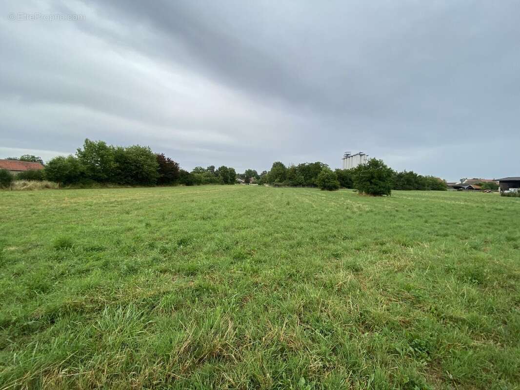 Terrain 14424 m² à Brazey-En-Plaine  - photo 2
