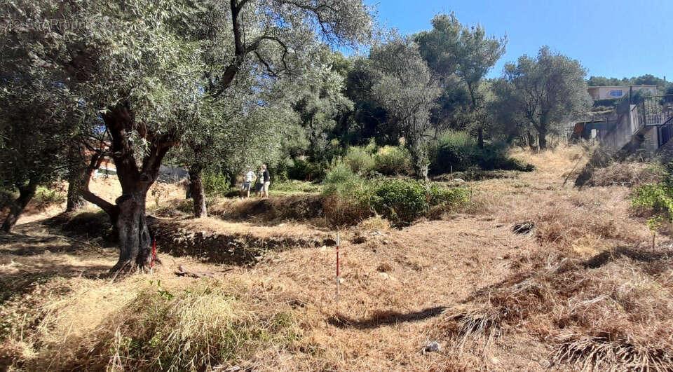 Terrain à SAINT-MARTIN-DU-VAR