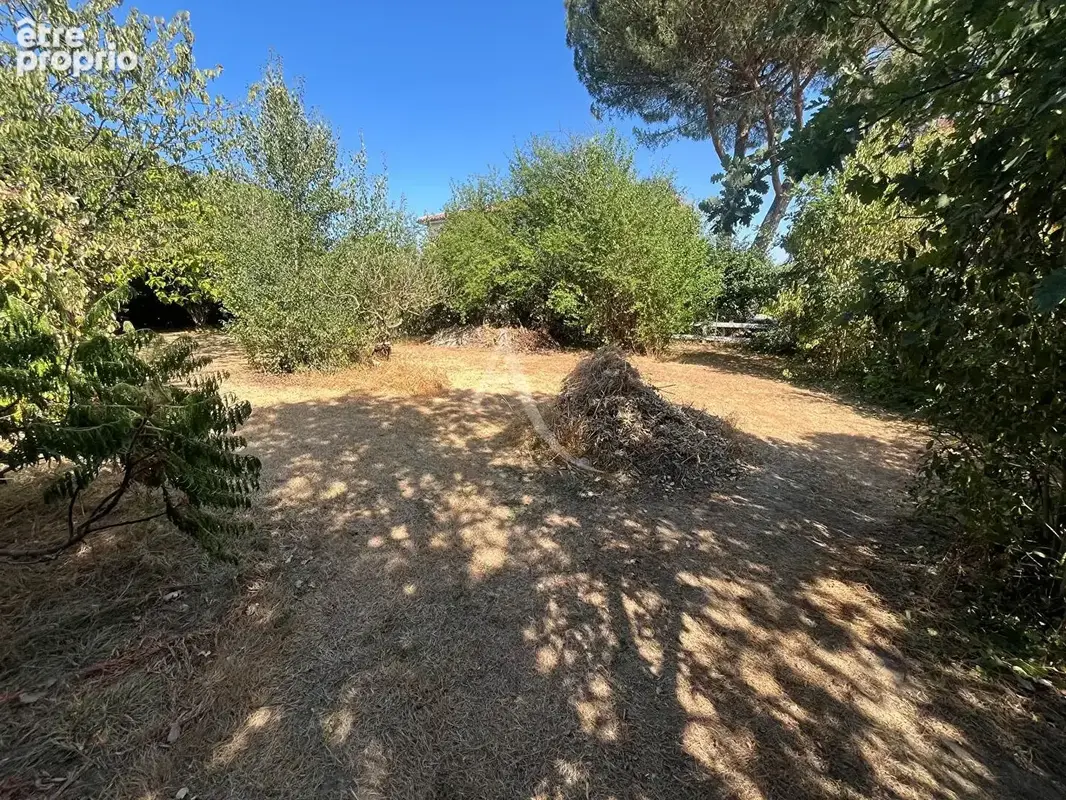 Terrain à SAINT-NAUPHARY