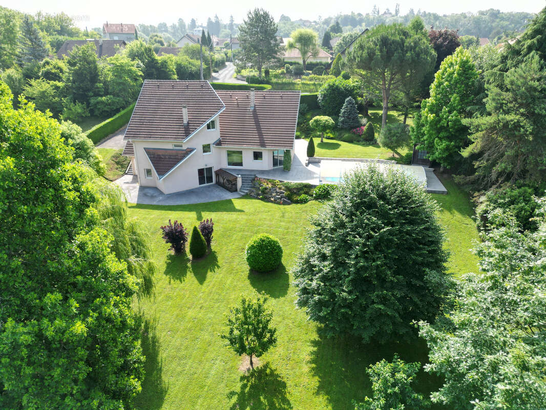 Maison à BELLEY