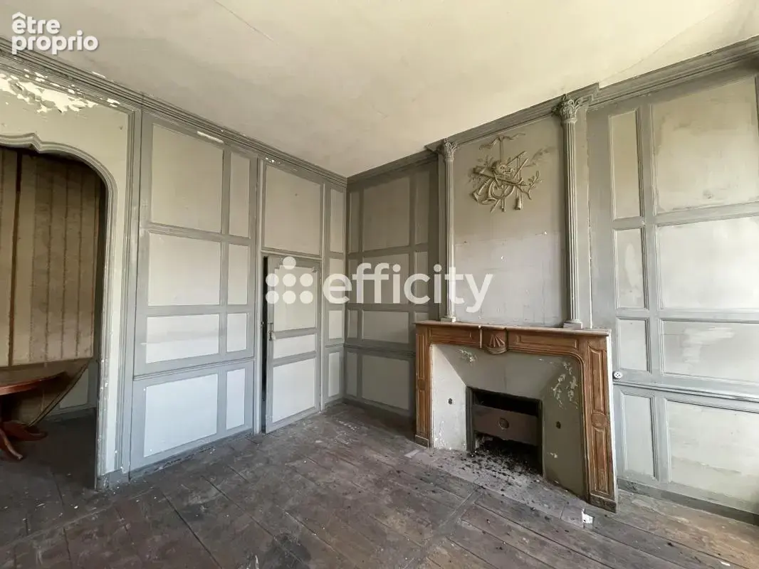 Hôtel particulier - photo 7