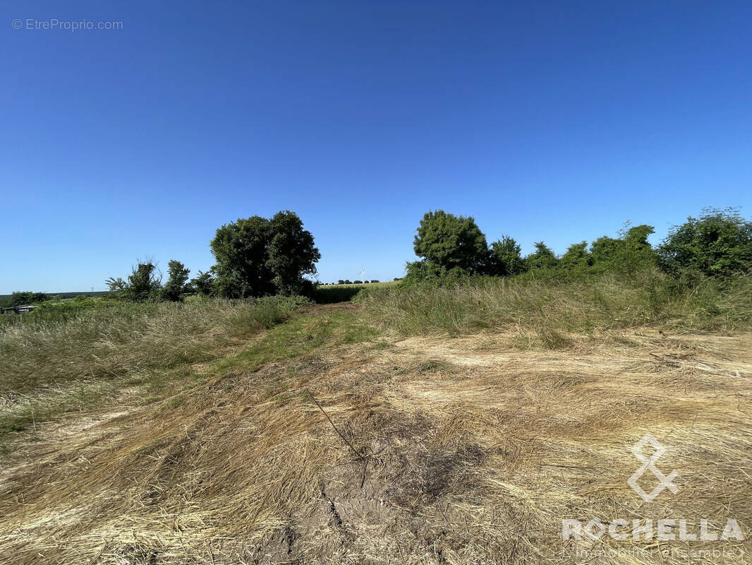 Terrain à SAINT-CREPIN