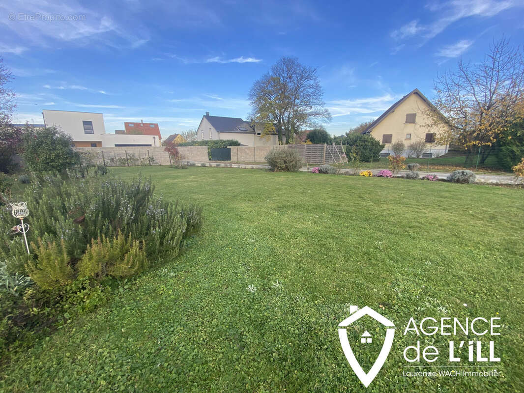 Terrain à HESSENHEIM