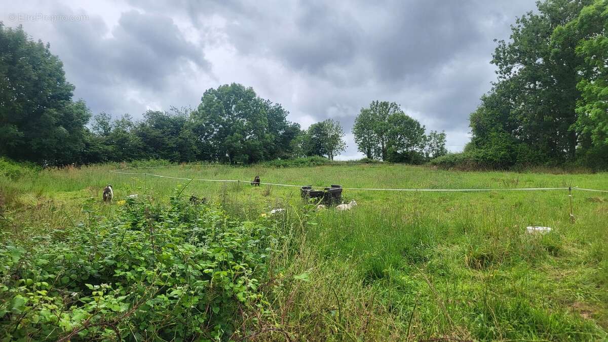 Maison à PONT-FARCY