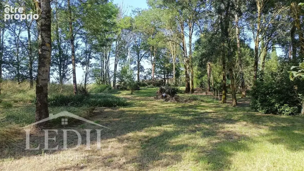 Magnifique terrain dans un milieu boisé - photo 6