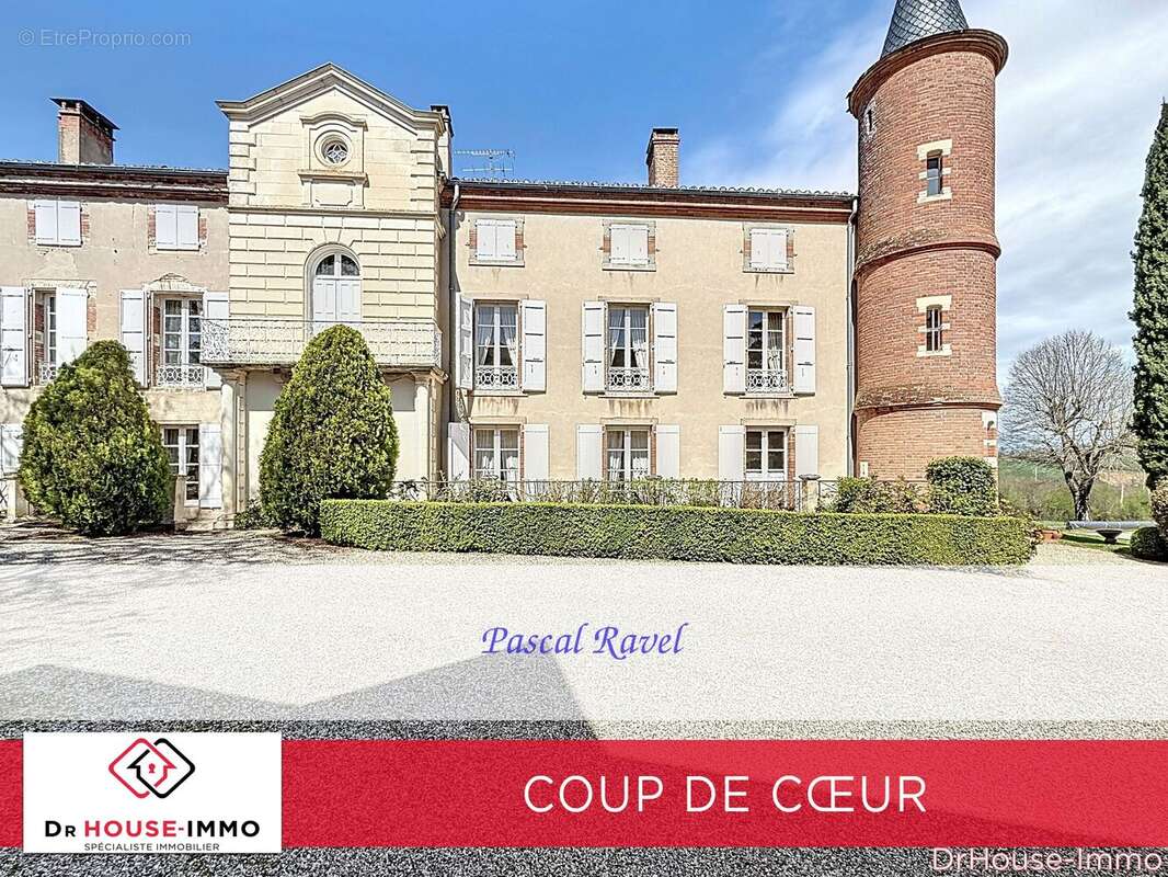 650 m² à Albi  - photo 2