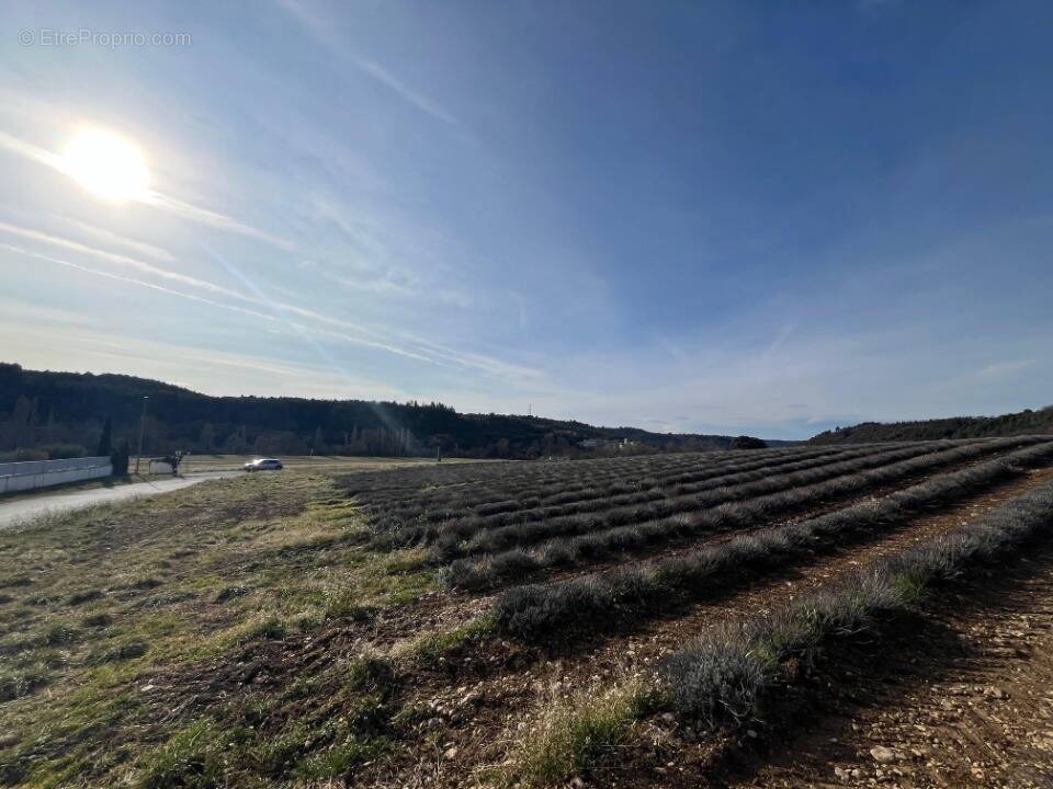 Terrain à ROUMOULES