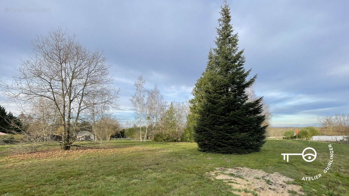 Terrain à MONTRIEUX-EN-SOLOGNE