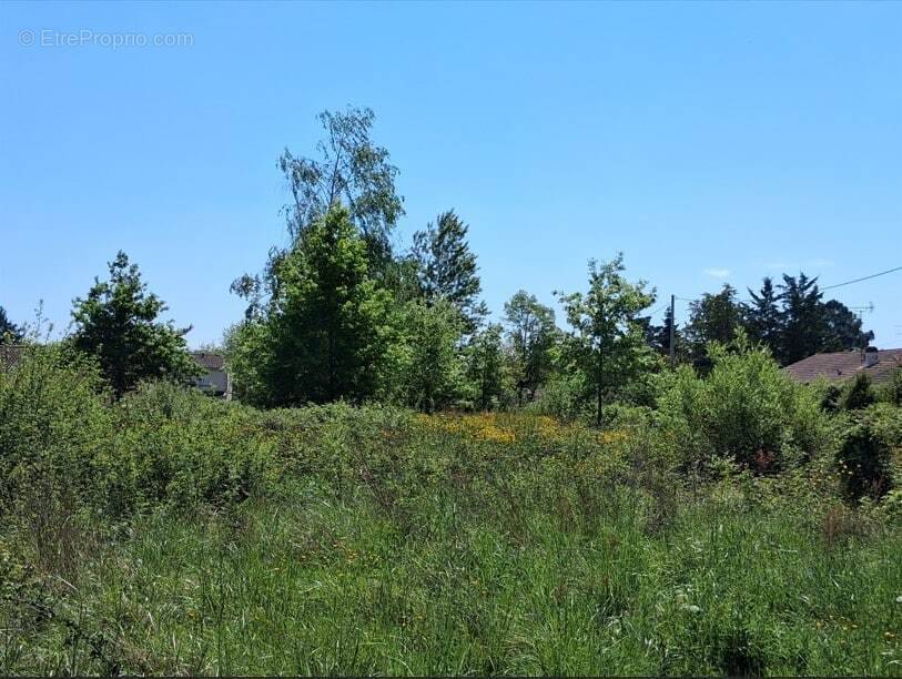 Terrain à BERGERAC