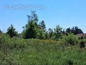 Terrain à BERGERAC