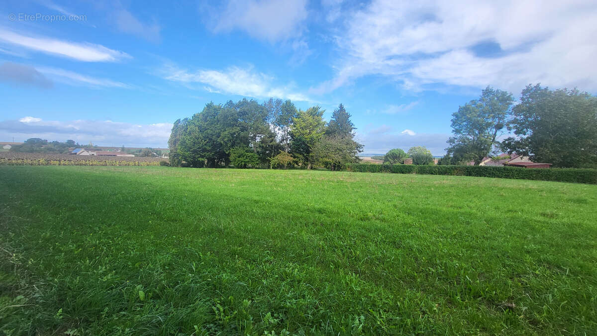 Maison à BRAY-SUR-SEINE