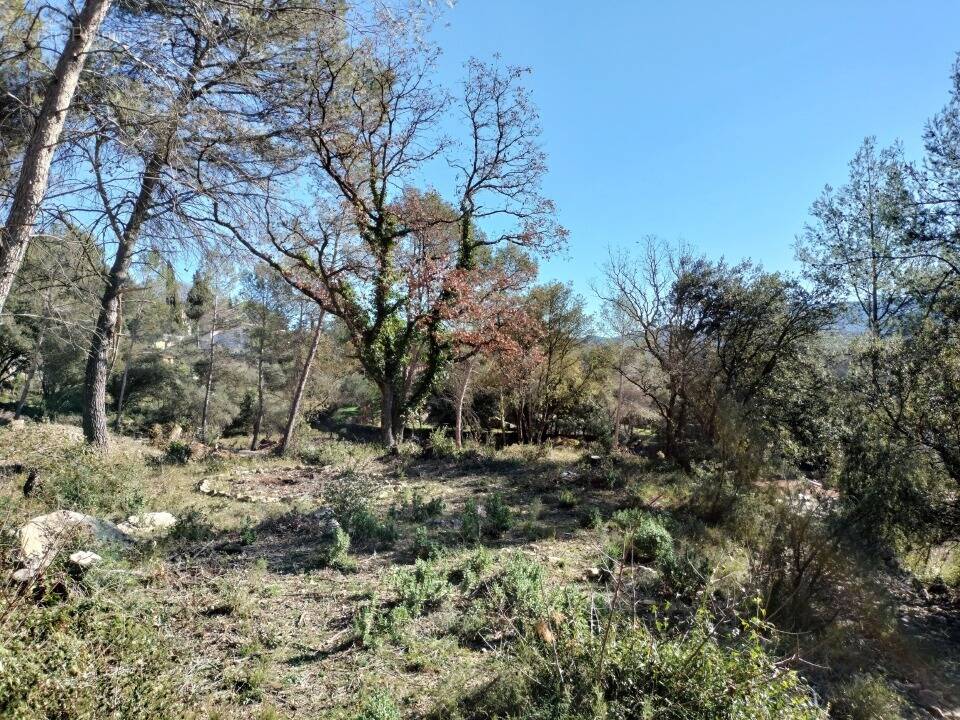 Terrain à BESSE-SUR-ISSOLE