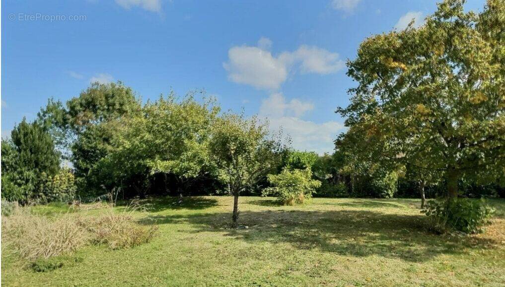 Terrain à SAINT-LAURENT-DE-LA-PREE