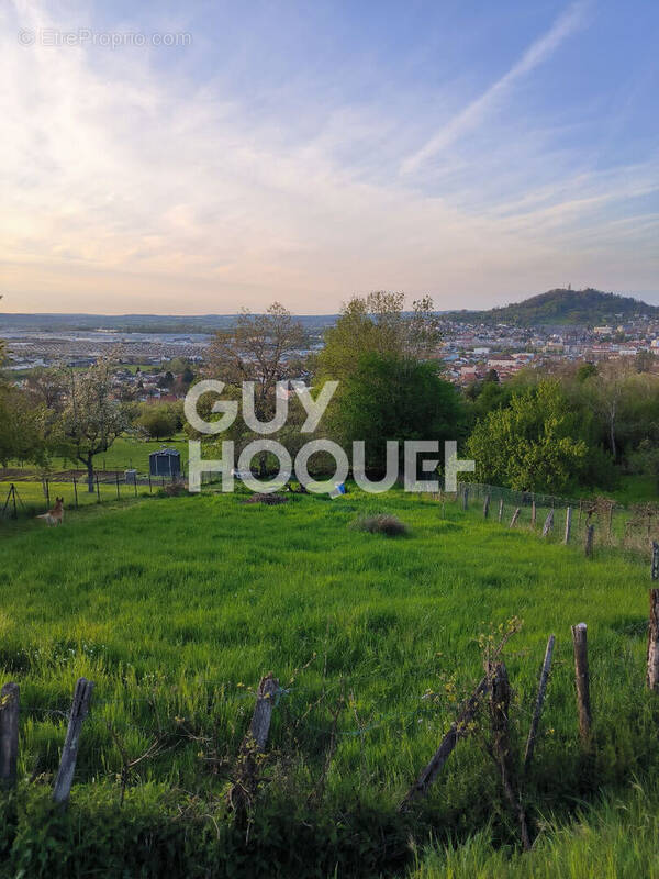 Terrain à ECHENOZ-LA-MELINE