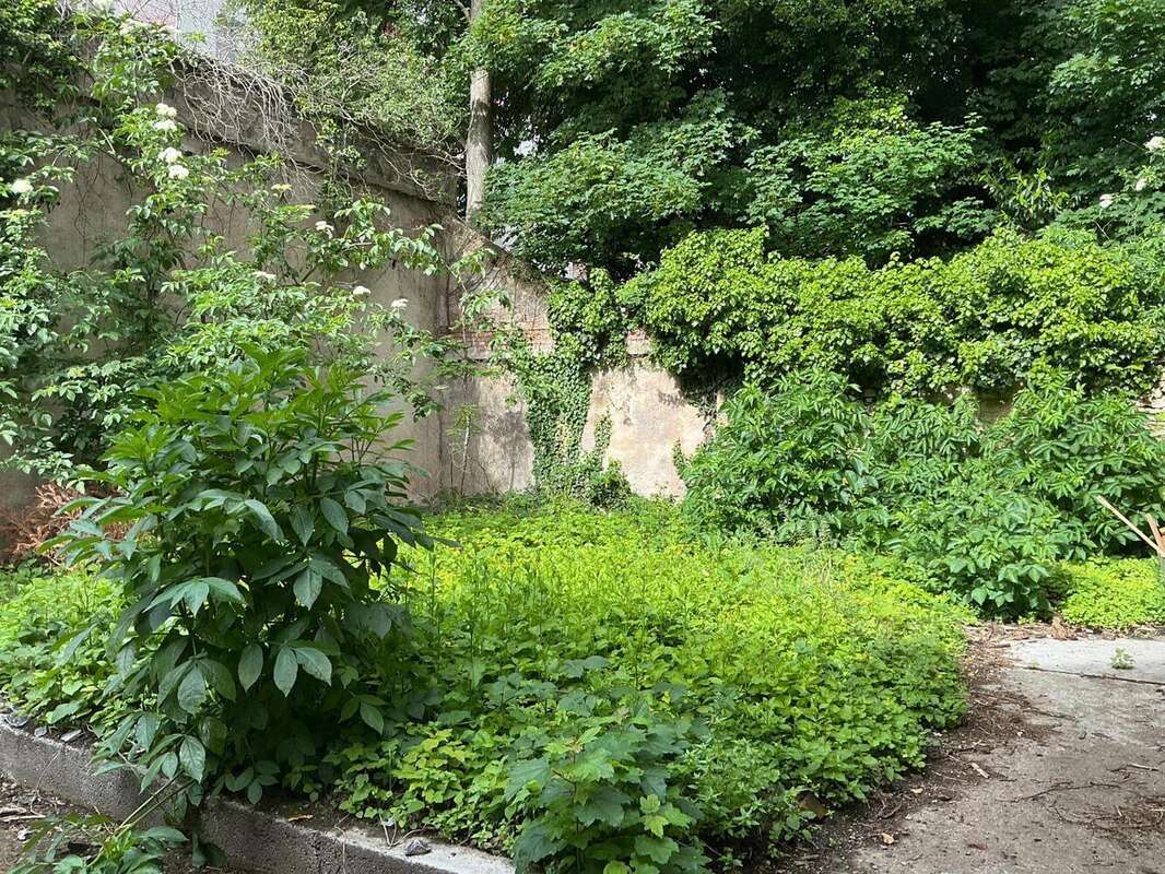 Photo 2 - Appartement à BELFORT