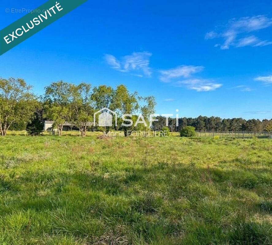 Photo 1 - Terrain à CERCOUX