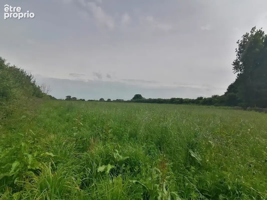 Quatre parcelles à fontenay sur mer - photo 11