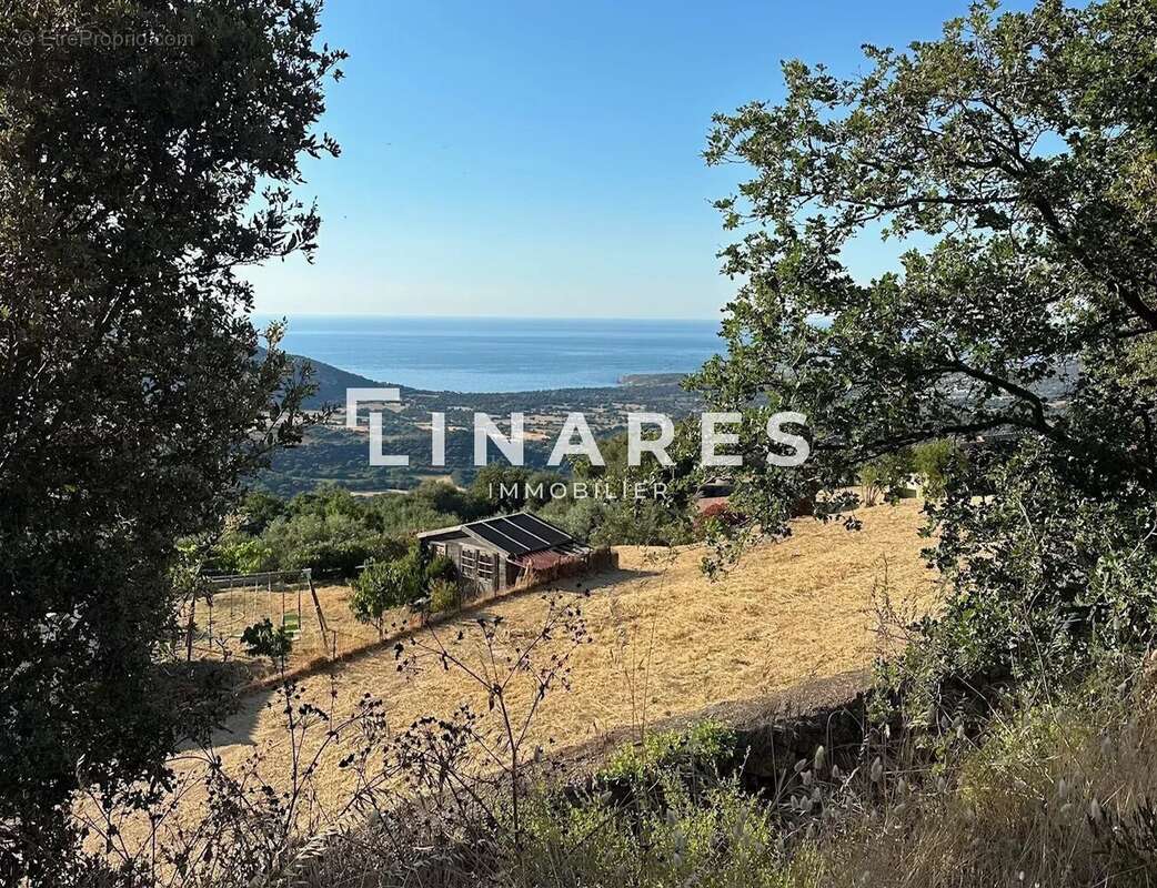 HAVRE DE PAIX - Terrain plat de 2419m2 - Vue panoramique - 20260 Lavatoggio/Balagne - photo 2