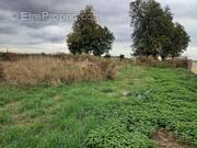 Terrain à VRAIVILLE