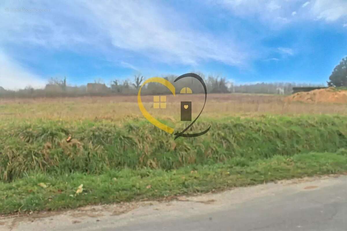 Terrain à CHISSEAUX