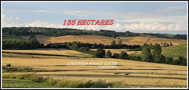Dpt Gers (32), à vendre proche AUCH - propriété agricole - 145 Hectares avec LAC et 860 M² de bâtiments - photo 6