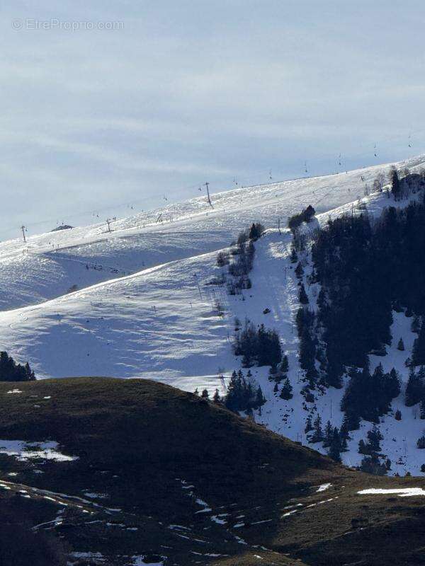 Terrain à AZET