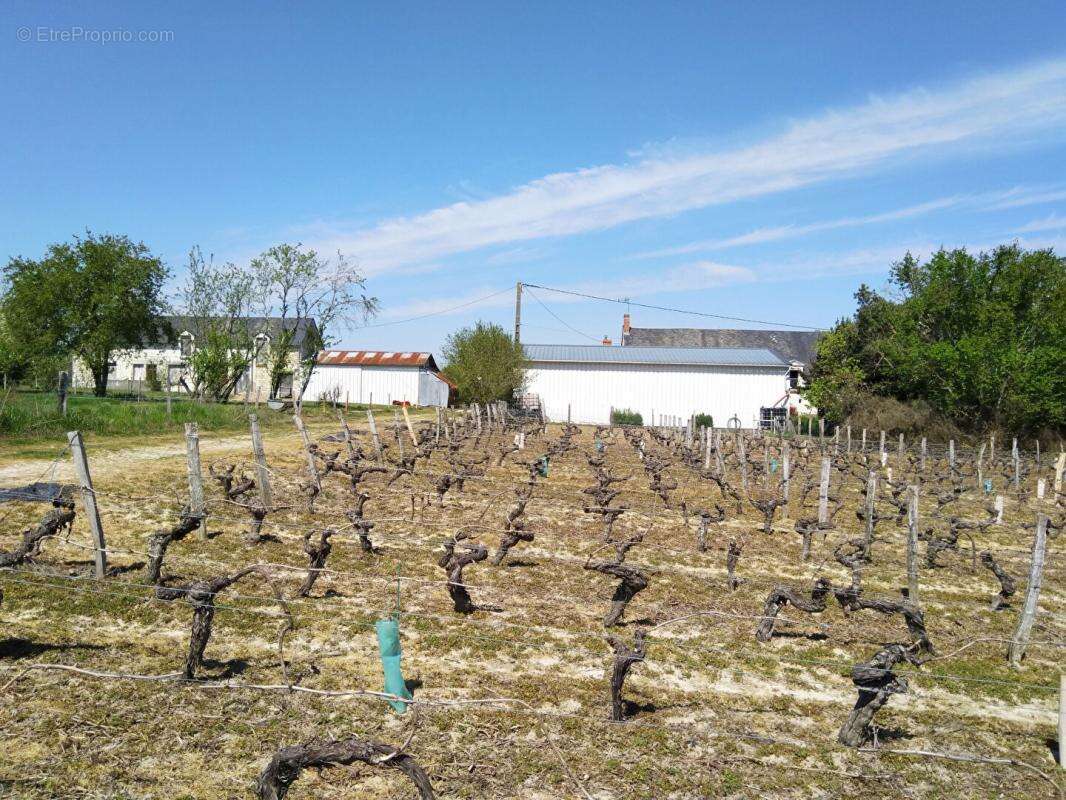 Maison à SAINT-AIGNAN