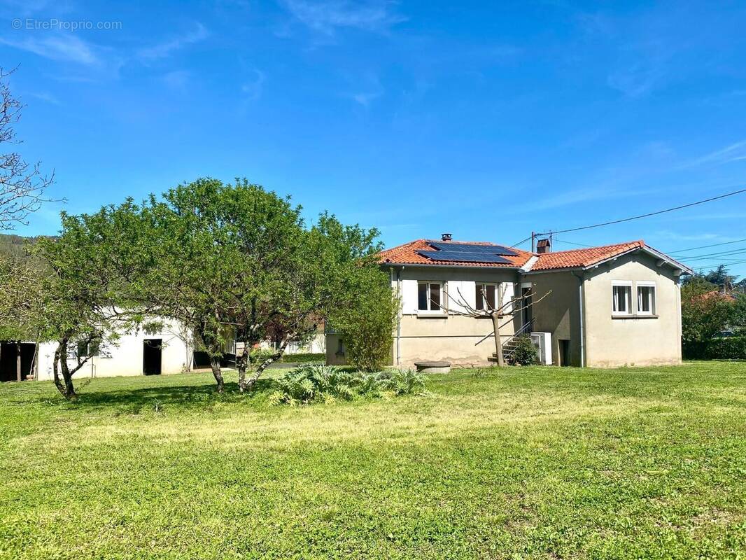 Photo 1 - Maison à SAINT-AMANS-SOULT