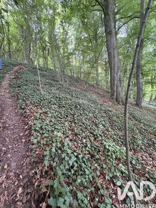 Photo 9 - Terrain à DOULLENS
