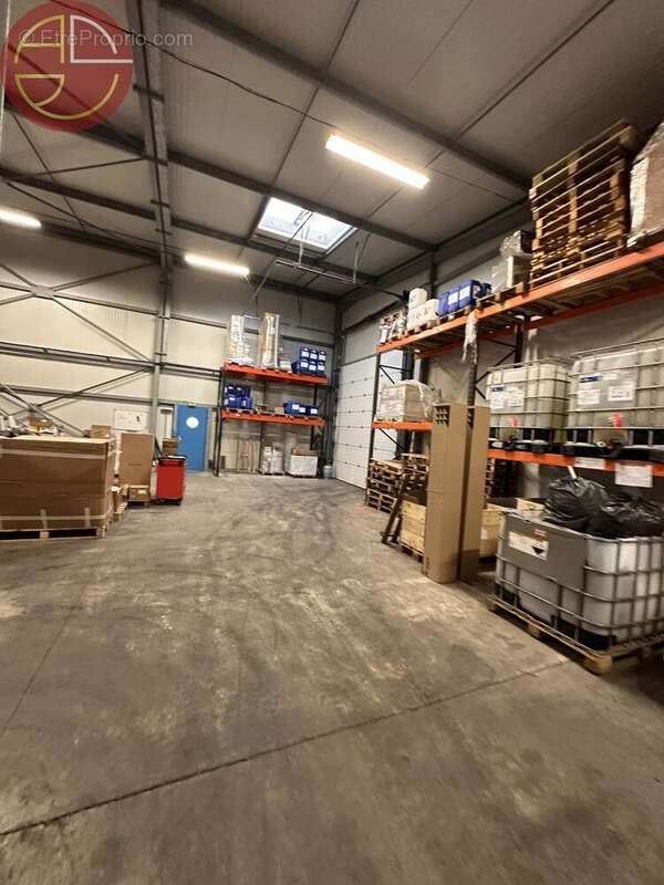 Commerce à L&#039;ISLE-JOURDAIN