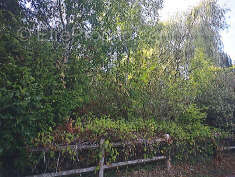 Terrain a batir dans quartier tres agreable de triel - photo 3