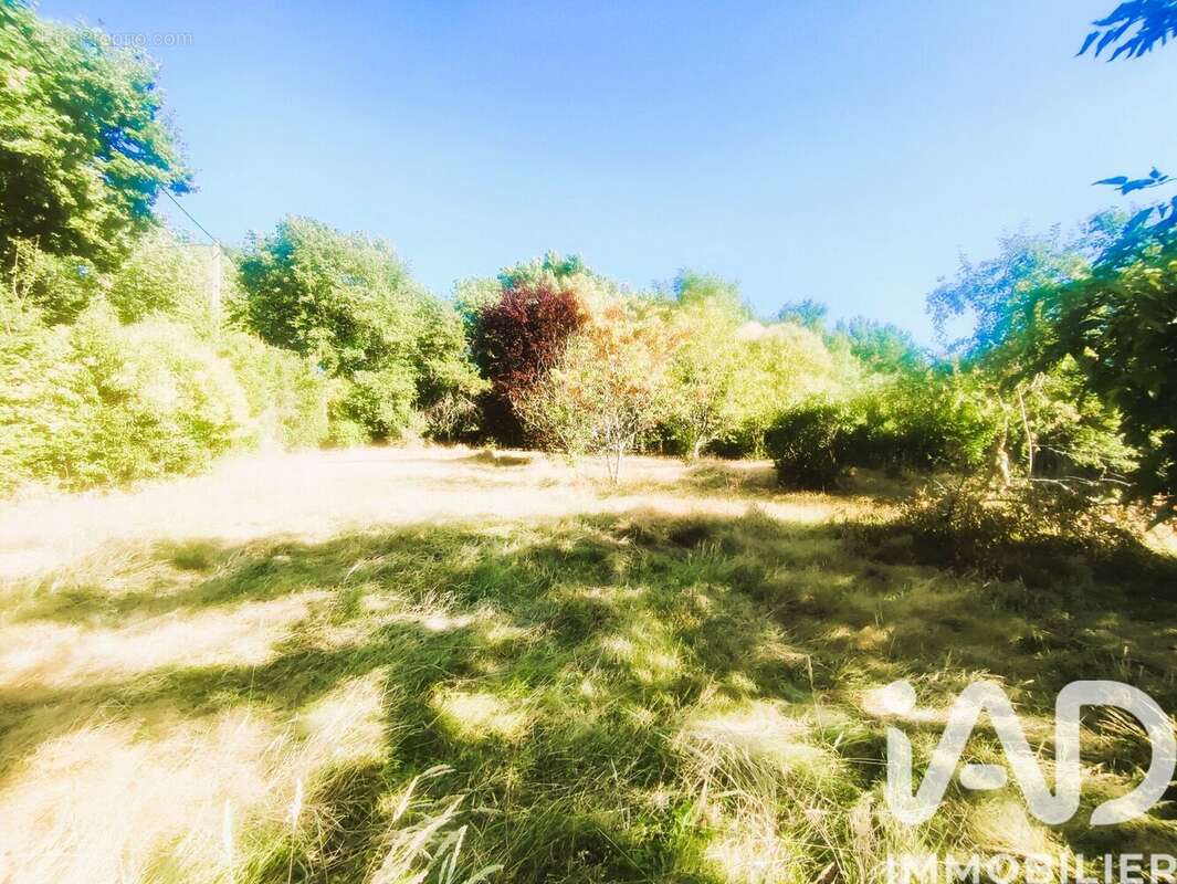 Photo 2 - Terrain à MONTAUBAN