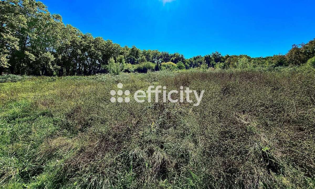 Terrain à MARTILLAC