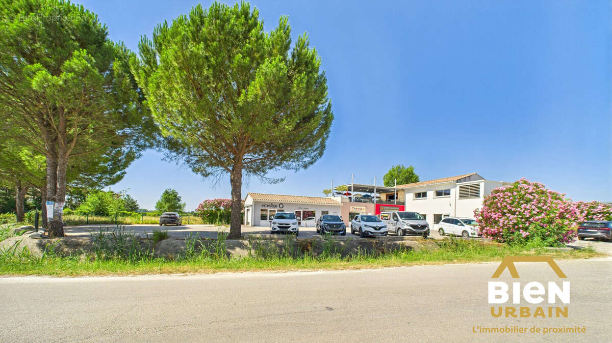 Autre à SAINT-CHAPTES